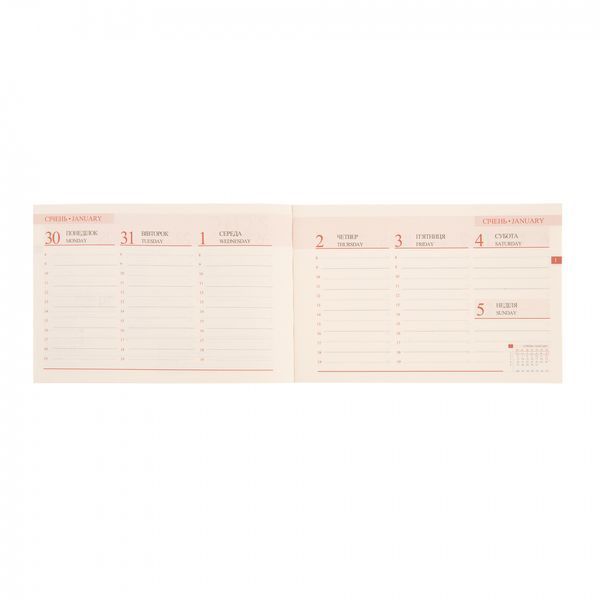 Щотижневик 10х15см Leo Planner датований 2025 Apiro 128 стор 252571 фото