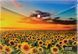 Папка-конверт А4 непрозора на кнопці Optima "Nature of Ukraine", 180 мкм, асорті O35314 фото 4