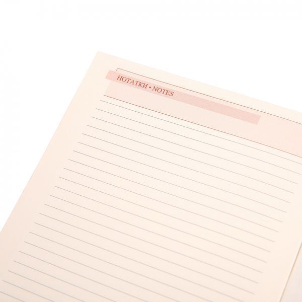 Щоденник А5 Leo Planner датований 2025 Aspire 368 стор 252590 фото