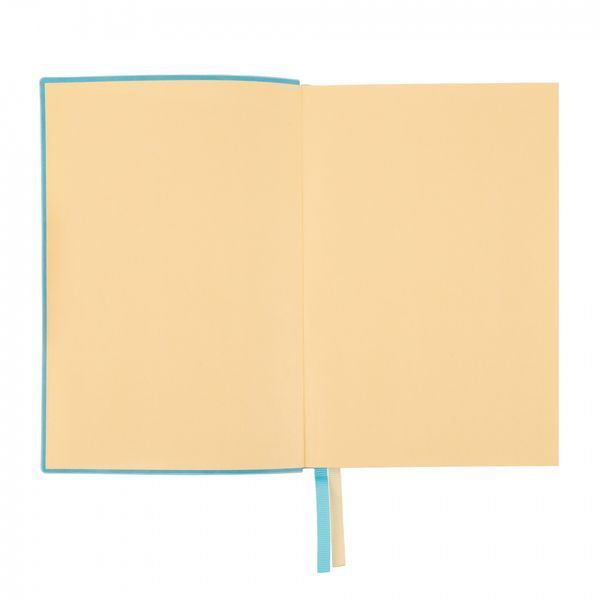 Щоденник А5 Leo Planner датований 2025 Aspire 368 стор 252590 фото