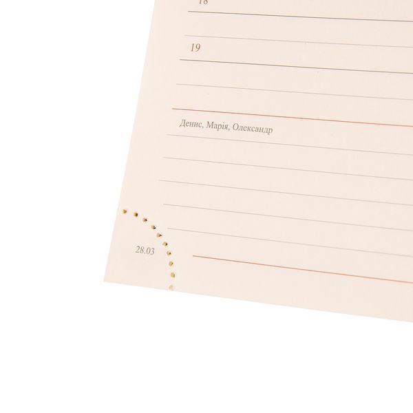Щоденник А5 Leo Planner датований 2025 Aspire 368 стор 252590 фото