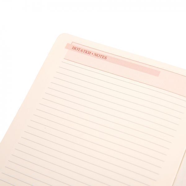 Щоденник А5 Leo Planner датований 2025 Liberty синій 368 стор 252444 фото