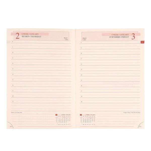Щоденник А6 Leo Planner датований 2025 Apiro синій 352 стор 252599 фото