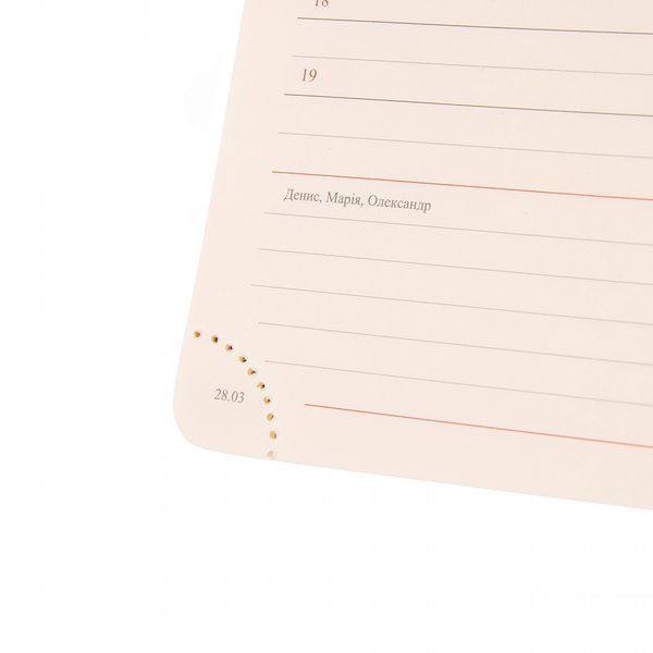 Щоденник А5 Leo Planner датований 2025 Identico синій 368 стор 252532 фото