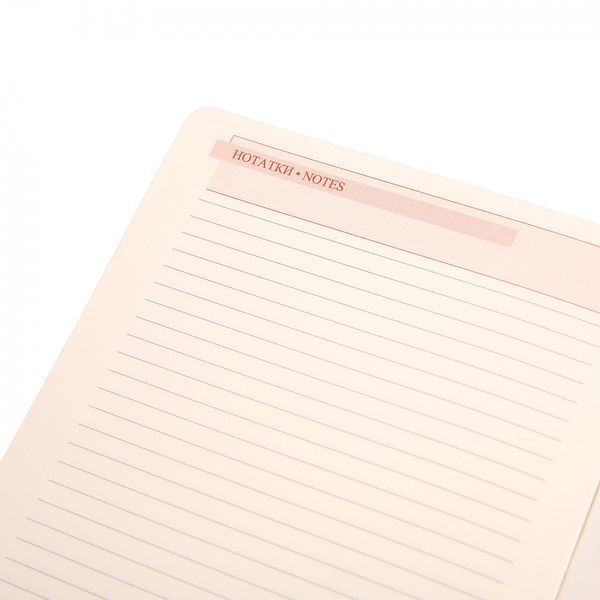 Щоденник А5 Leo Planner датований 2025 Identico синій 368 стор 252532 фото