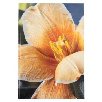 Книга записна Axent Flora 8423-27-A, А4, 192 аркуша, клітинка, жовта 8423-27-A фото